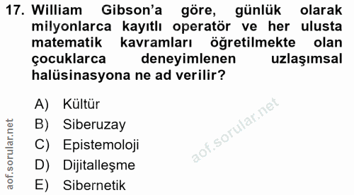 17. soru: William Gibson'a göre, günlük olarak milyonlarca kayıtlı operatör ve her ulusta matematik kavramları öğretilmekte ola…