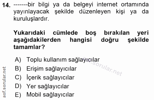 14. soru: - bir bilgi ya da belgeyi internet ortamında yayınlayacak şekilde düzenleyen kişi ya da kuruluşlardır. Yukarıdaki cüm…