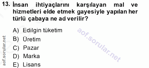 13. soru: Insan ihtiyaçlarını karşılayan mal ve hizmetleri elde etmek gayesiyle yapılan her türlü çabaya ne ad verilir? A) Edil…