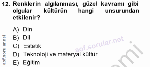 12. soru: Renklerin algılanması, güzel kavramı gibi olgular kültürün hangi unsurundan etkilenir? A) Din B) Dil C) Estetik D) Te…