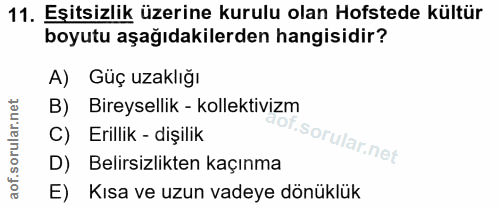 11. soru: Eşitsizlik üzerine kurulu olan Hofstede kültür boyutu aşağıdakilerden hangisidir? A) Güç uzaklığı B) Bireysellik - ko…