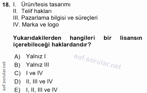 18. soru: I. Ürün/tesis tasarımı II. Telif hakları III. Pazarlama bilgisi ve süreçleri IV. Marka ve logo Yukarıdakilerden hangi…