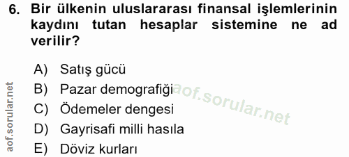 6. soru: Bir ülkenin uluslararası finansal işlemlerinin kaydını tutan hesaplar sistemine ne ad verilir? B) Pazar demografiğiao…