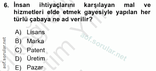 6. soru: insan ihtiyaçlarını karşılayan mal ve hizmetleri elde etmek gayesiyle yapılan her türlü çabaya ne ad verilir? A) Lisa…