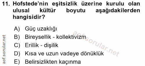 11. soru: Hofstede'nin eşitsizlik üzerine kurulu olan ulusal kültür boyutu aşağıdakilerden hangisidir? A) Güç uzaklığı B) Birey…