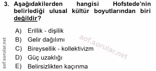 3. soru: Aşağıdakilerden hangisi Hofstede'nin belirlediği ulusal kültür boyutlarından biri değildir? A) Erillik - dişilik B) G…