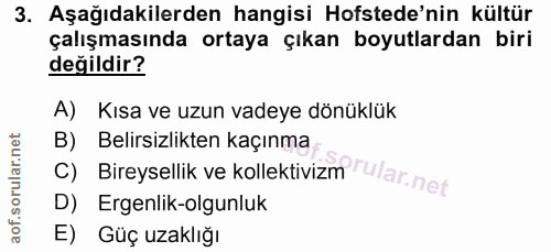 3. soru: Aşağıdakilerden hangisi Hofstede'nin kültür çalışmasında ortaya çıkan boyutlardan biri değildir? A) Kısa ve uzun vade…