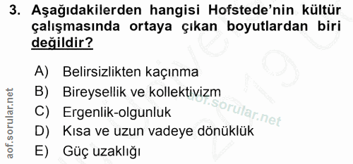 3. soru: Aşağıdakilerden hangisi Hofstede'nin kültür çalışmasında ortaya çıkan boyutlardan biri değildir? A) Belirsizlikten ka…