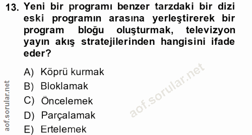 13. soru: Yeni bir programı benzer tarzdaki bir dizi eski programın arasına yerleştirerek bir program bloğu oluşturmak, televiz…