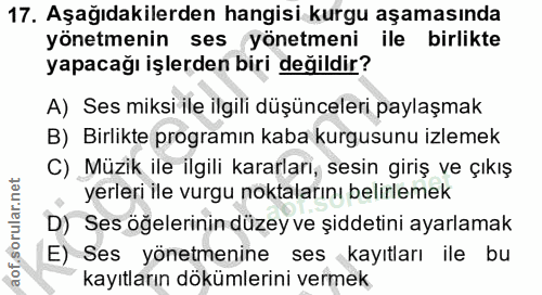 17. soru: Aşağıdakilerden hangisi kurgu aşamasında yönetmenin ses yönetmeni ile birlikte yapacağı işlerden biri değildir? A) Se…
