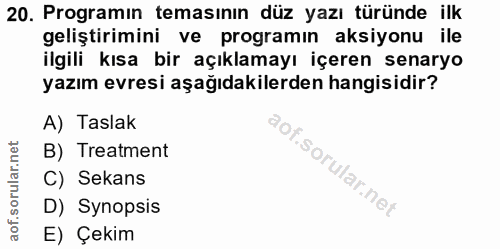 20. soru: Programın temasının düz yazı türünde ilk geliştirimini ve programın aksiyonu ile ilgili kısa bir açıklamayı içeren se…
