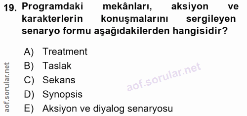 19. soru: Programdaki mekânları, aksiyon ve karakterlerin konuşmalarını sergileyen senaryo formu aşağıdakilerden hangisidir? A)…