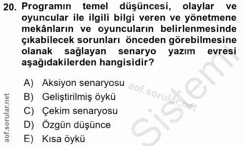 20. soru: Programın temel düşüncesi, olaylar ve oyuncular ile ilgili bilgi veren ve yönetmene mekânların ve oyuncuların belirle…