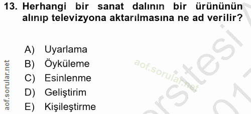 13. soru: Herhangi bir sanat dalının bir ürününün alınıp televizyona aktarılmasına ne ad verilir? A) Uyarlama B) Öyküleme aof.s…