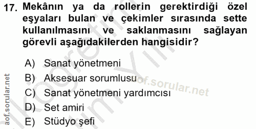 17. soru: Mekânın ya da rollerin gerektirdiği özel eşyaları bulan ve çekimler sırasında sette kullanılmasını ve saklanmasını sa…