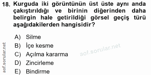 18. soru: Kurguda iki görüntünün üst üste aynı anda çakıştırıldığı ve birinin diğerinden daha belirgin hale getirildiği görsel…
