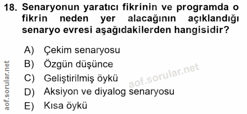 18. soru: Senaryonun yaratıcı fikrinin ve programda o fikrin neden yer alacağının açıklandığı senaryo evresi aşağıdakilerden ha…