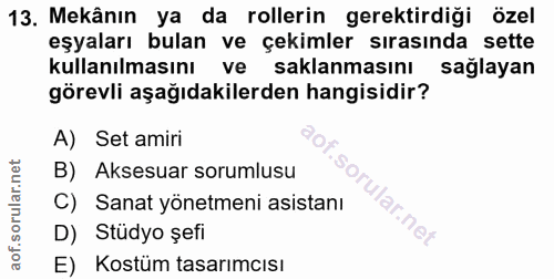 13. soru: Mekânın ya da rollerin gerektirdiği özel eşyaları bulan ve çekimler sırasında sette kullanılmasını ve saklanmasını sa…