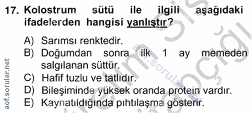 17. soru: Kolostrum sütü ile ilgili aşağıdaki ifadelerden hangisi yanlıştır? A) Sarımsı renktedir. B) Doğumdan sonra ilk 1 ay m…