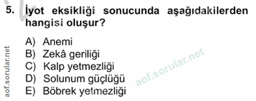 5. soru: İyot eksikliği sonucunda aşağıdakilerden hangisi oluşur? A) Anemi B) Zekâ geriliği C) Kalp yetmezliği D) Solunum güçl…