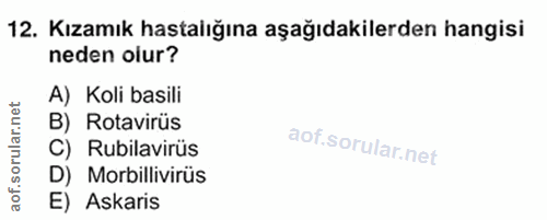 12. soru: Kızamık hastalığına aşağıdakilerden hangisi neden olur? A) Koli basili B) Rotavirüs C) Rubilavirüs D) Morbillivirüs E…