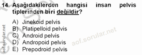 14. soru: Aşağıdakilerden hangisi insan pelvis tiplerinden biri değildir? A) Jinekoid pelvis B) Platipelloid pelvis C) Android…