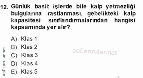 12. soru: Günlük basit işlerde bile kalp yetmezliği bulgularına rastlanması, gebelikteki kalp kapasitesi sınıflandırmalarından…