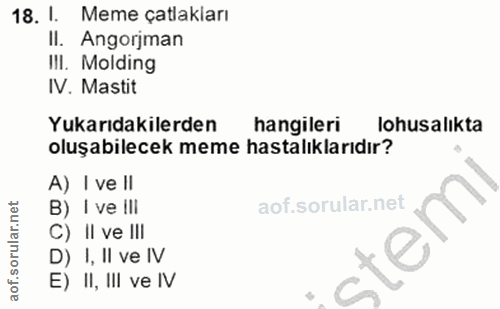 18. soru: I. Meme çatlakları II. Angorjman IlI. Molding IV. Mastit Yukarıdakilerden hangileri lohusalikta oluşabilecek meme has…