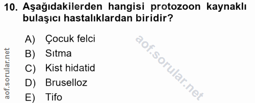 10. soru: Aşağıdakilerden hangisi protozoon kaynaklı bulaşıcı hastalıklardan biridir? A) Çocuk felci B) Sıtma C) Kist hidatid D…
