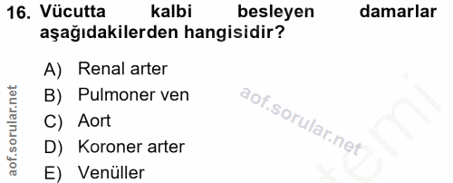 16. soru: Vücutta kalbi besleyen damarlar aşağıdakilerden hangisidir? A) Renal arter B) Pulmoner ven C) Aort D) Koroner arter E…
