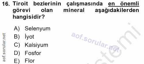 16. soru: Tiroit bezlerinin çalışmasında en önemli görevi olan mineral aşağıdakilerden hangisidir? A) Selenyum B) iyot aof soru…
