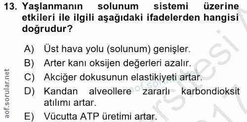 13. soru: Yaşlanmanın solunum sistemi üzerine etkileri ile ilgili aşağıdaki ifadelerden hangisi doğrudur? A) Üst hava yolu (sol…