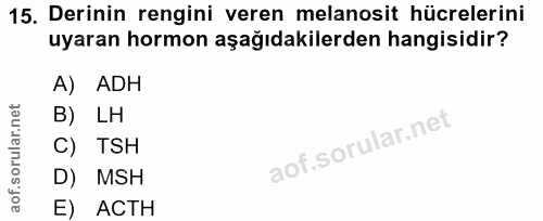 15. soru: Derinin rengini veren melanosit hücrelerini uyaran hormon aşağıdakilerden hangisidir? A) ADH B) LH C) TSH D) MSH E) ACTH