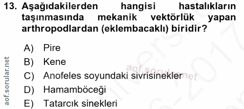 13. soru: Aşağıdakilerden hangisi hastalıkların taşınmasında mekanik vektörlük yapan arthropodlardan (eklembacaklı) biridir? A)…