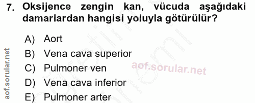 7. soru: Oksijence zengin kan, vücuda aşağıdaki damarlardan hangisi yoluyla götürülür? A) Aort B) Vena cava superior C) Pulmon…