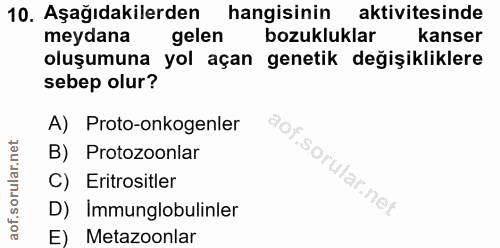 10. soru: Aşağıdakilerden hangisinin aktivitesinde meydana gelen bozukluklar kanser oluşumuna yol açan genetik değişikliklere s…