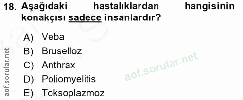 18. soru: Aşağıdaki hastalıklardan hangisinin konakçısı sadece insanlardır? A) Veba B) Bruselloz C) Anthrax D) Poliomyelitis E)…