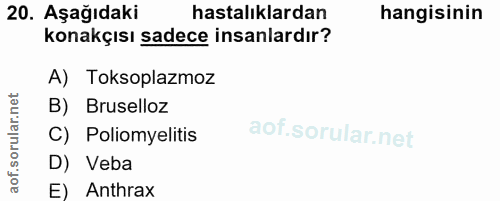20. soru: Aşağıdaki hastalıklardan hangisinin konakçısı sadece insanlardır? A) Toksoplazmoz B) Bruselloz C) Poliomyelitis D) Ve…