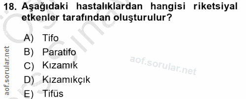 18. soru: Aşağıdaki hastalıklardan hangisi riketsiyal etkenler tarafından oluşturulur? A) Tifo B) Paratifo C) Kızamık D) Kızamı…