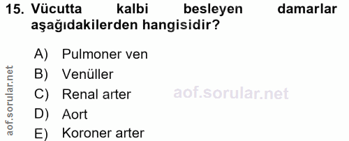 15. soru: Vücutta kalbi besleyen damarlar aşağıdakilerden hangisidir? A) Pulmoner ven B) Venüller C) Renal arter D) Aort E) Kor…