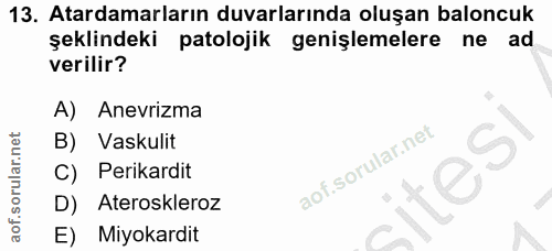 13. soru: Atardamarların duvarlarında oluşan baloncuk şeklindeki patolojik genişlemelere ne ad verilir? A) Anevrizma B) Vaskuli…