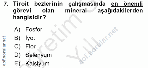 7. soru: Tiroit bezlerinin çalışmasında en önemli görevi olan mineral aşağıdakilerden hangisidir? A) Fosfor B) Iyot aof.sdrula…