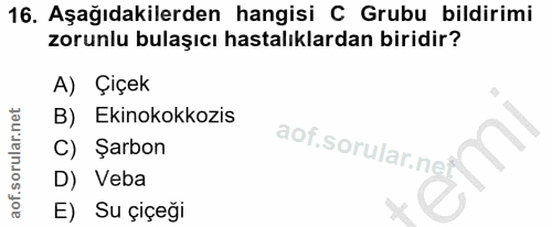 16. soru: Aşağıdakilerden hangisi C Grubu bildirimi zorunlu bulaşıcı hastalıklardan biridir? A) Çiçek B) Ekinokokkozis C) Şarbo…
