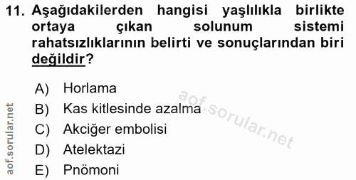 11. soru: Aşağıdakilerden hangisi yaşlılıkla birlikte ortaya çıkan solunum sistemi rahatsızlıklarının belirti ve sonuçlarından…