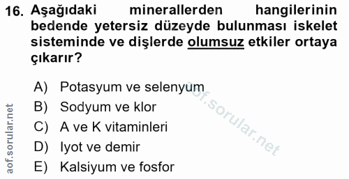16. soru: Aşağıdaki minerallerden hangilerinin bedende yetersiz düzeyde bulunması iskelet sisteminde ve dişlerde olumsuz etkile…