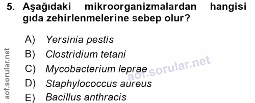 5. soru: Aşağıdaki mikroorganizmalardan hangisi gıda zehirlenmelerine sebep olur? A) Yersinia pestis C) Mycobacterium leprae B…
