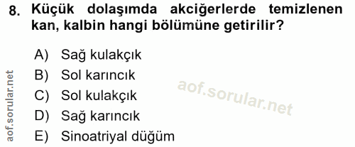 8. soru: Küçük dolaşımda akciğerlerde temizlenen kan, kalbin hangi bölümüne getirilir? A) Sag kulakçık B) Sol karıncık C) Sol…