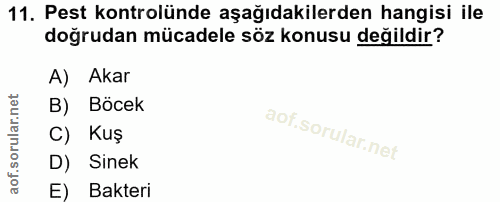 11. soru: Pest kontrolünde aşağıdakilerden hangisi ile doğrudan mücadele söz konusu değildir? A) Akar B) Böcek C) Kuş D) Sinek…
