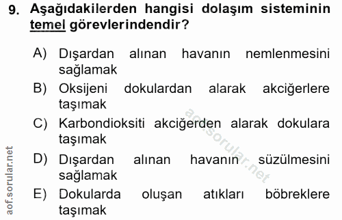 9. soru: Aşağıdakilerden hangisi dolaşım sisteminin temel görevlerindendir? A) Dışardan alınan havanın nemlenmesini sağlamak B…