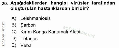 20. soru: Aşağıdakilerden hangisi virüsler tarafından oluşturulan hastalıklardan biridir? A) Leishmaniosis B) Şarbon C) Kırım K…
